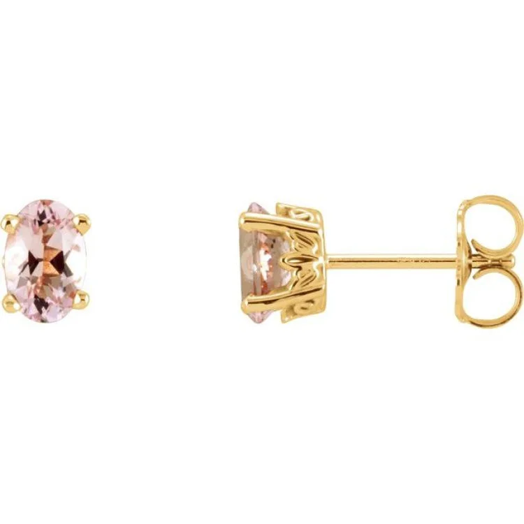 Ladies Affordable Earrings -14K Yellow Natural Pink Morganite Earrings